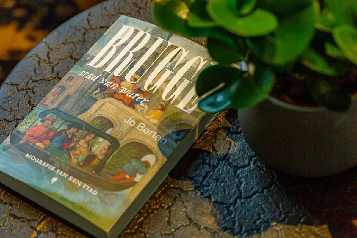 Espacio representativo del hotel: Un libro de cocina está sobre una mesa texturizada junto a una planta en maceta.