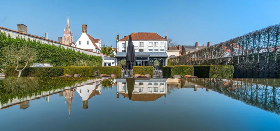 Espacio representativo del hotel: Un patio ajardinado con una piscina reflectante y edificios al fondo.