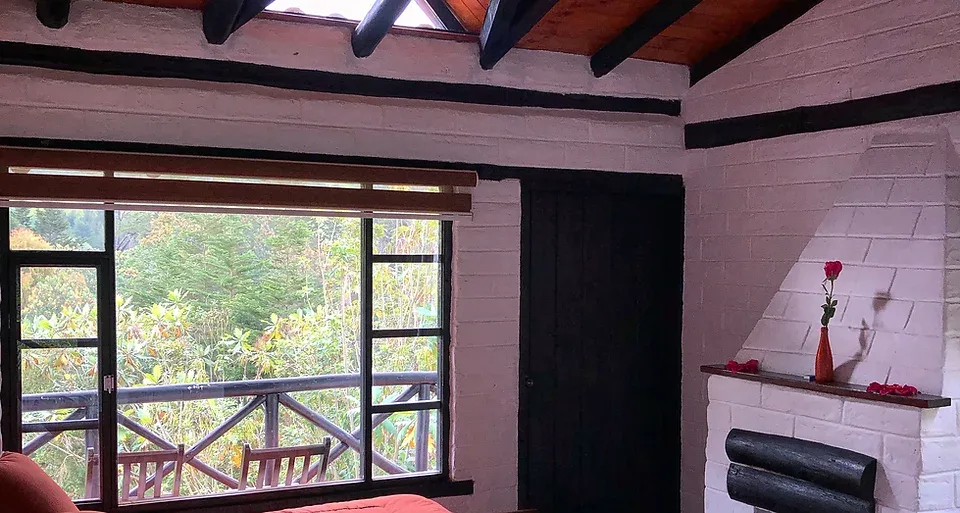 Espacio representativo del hotel: Una habitación con una gran ventana que da a un balcón frondoso.