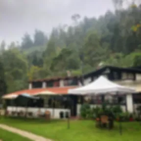 Espacio representativo del hotel: Una zona de comedor al aire libre con una carpa blanca junto al césped y los árboles.