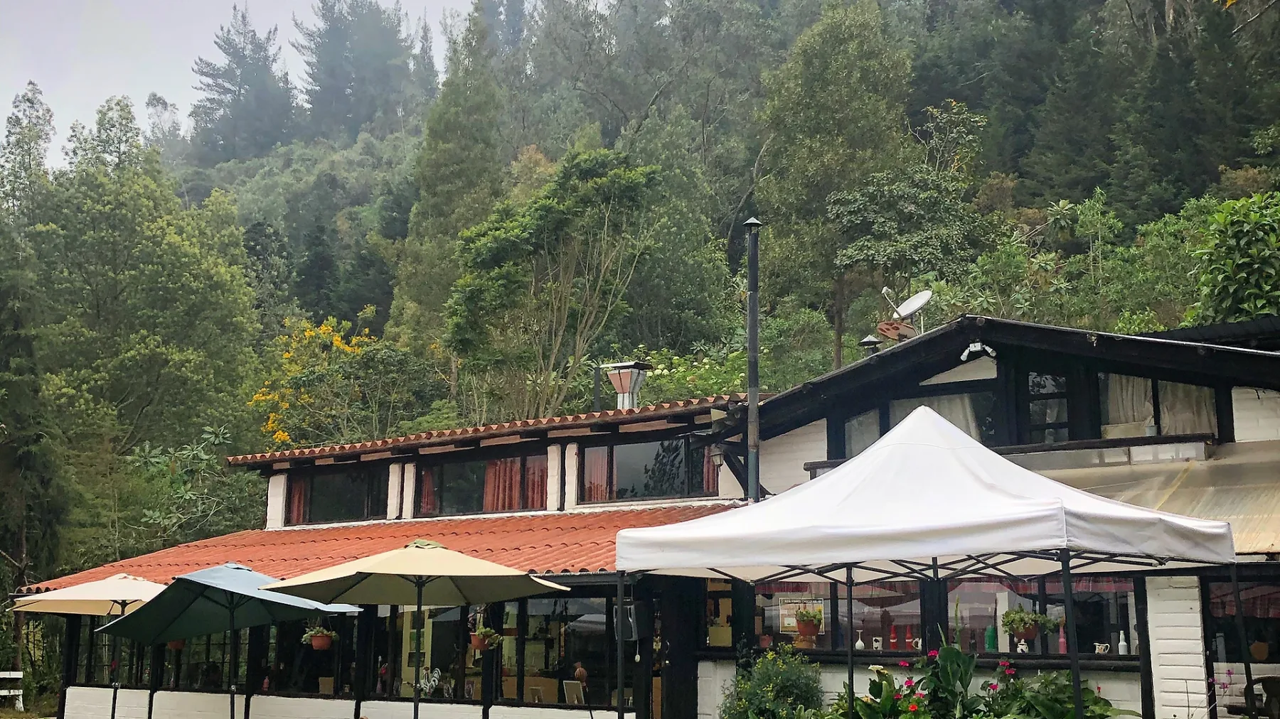 Espacio representativo del hotel: Un edificio de restaurante con toldos al aire libre se encuentra junto a una ladera boscosa.