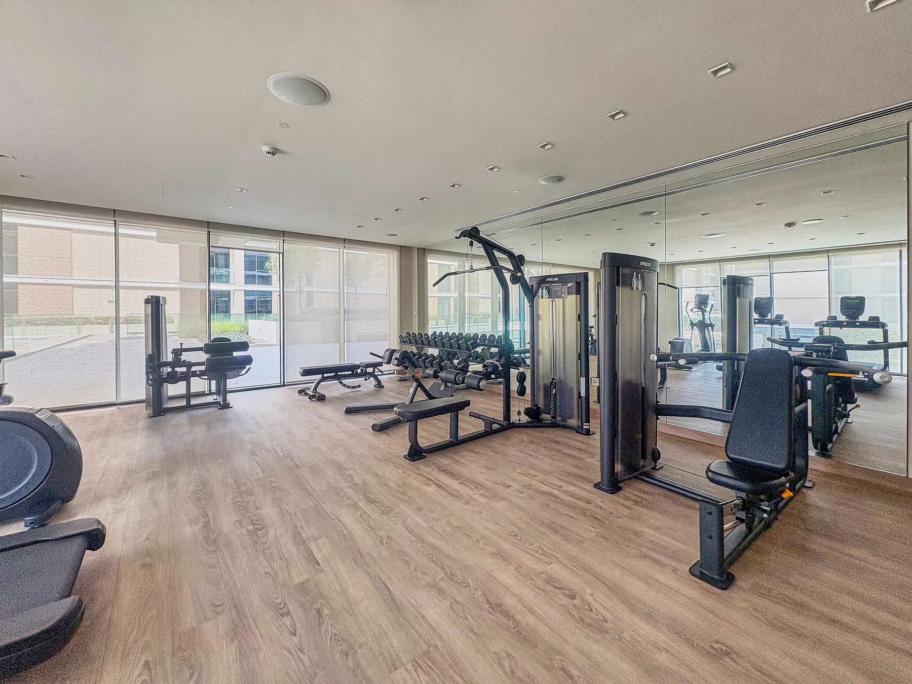 Zona común: Un gimnasio con máquinas de ejercicio y pesas junto a grandes ventanas.