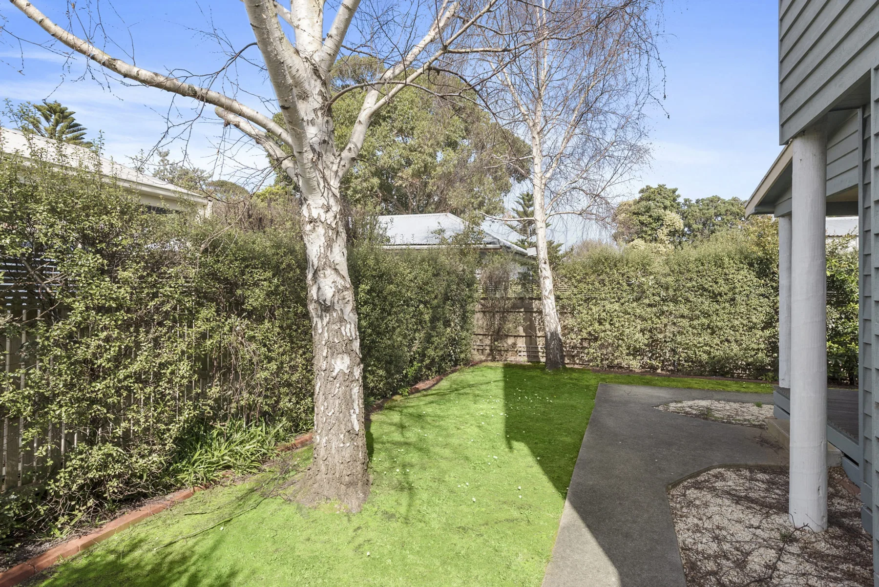 A small garden with green lawn, trees, hedges, and a paved path beside a building.