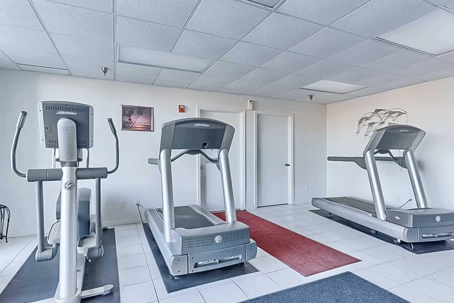 Shared amenity: A fitness room with exercise machines and treadmills.
