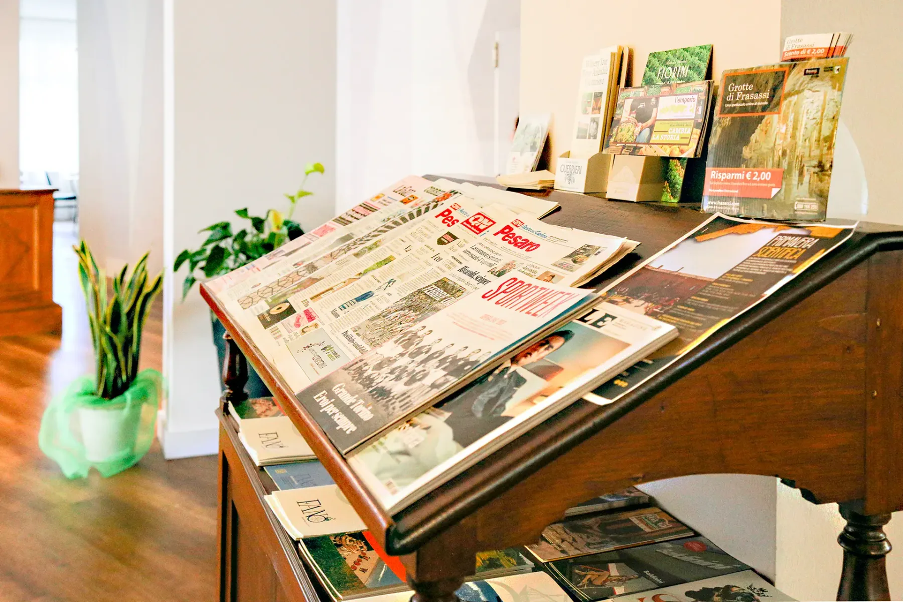 Representative hotel space: A lobby display stand holds newspapers and brochures beside a potted plant.