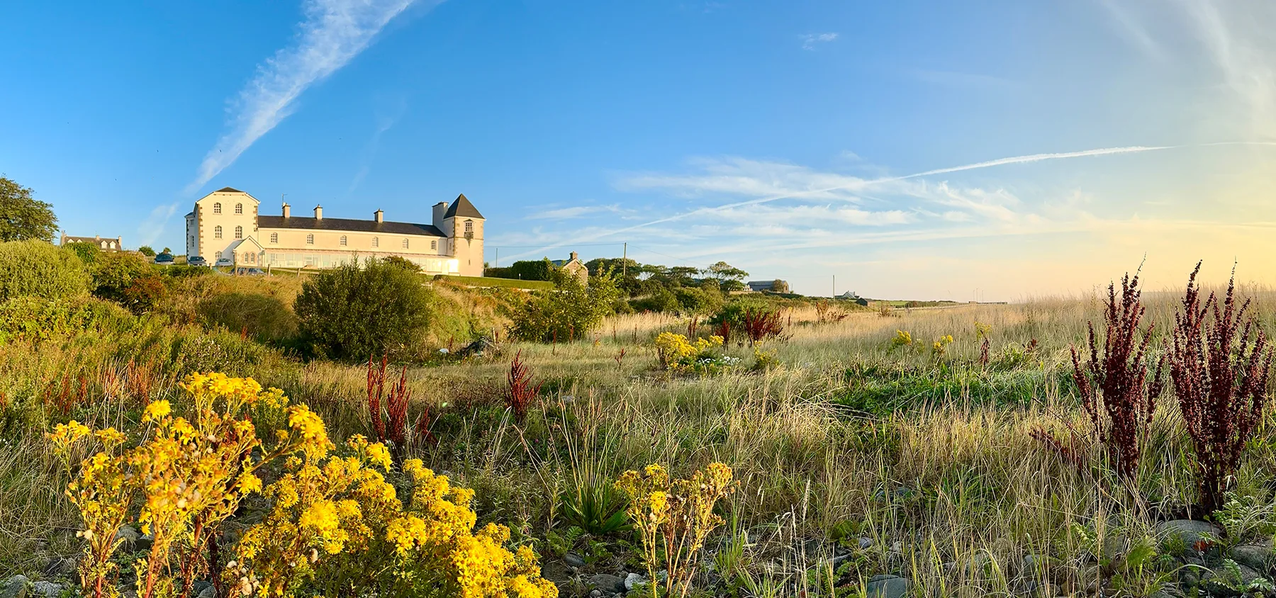 Representative hotel space: A pale stone building stands beyond a meadow with yellow wildflowers.