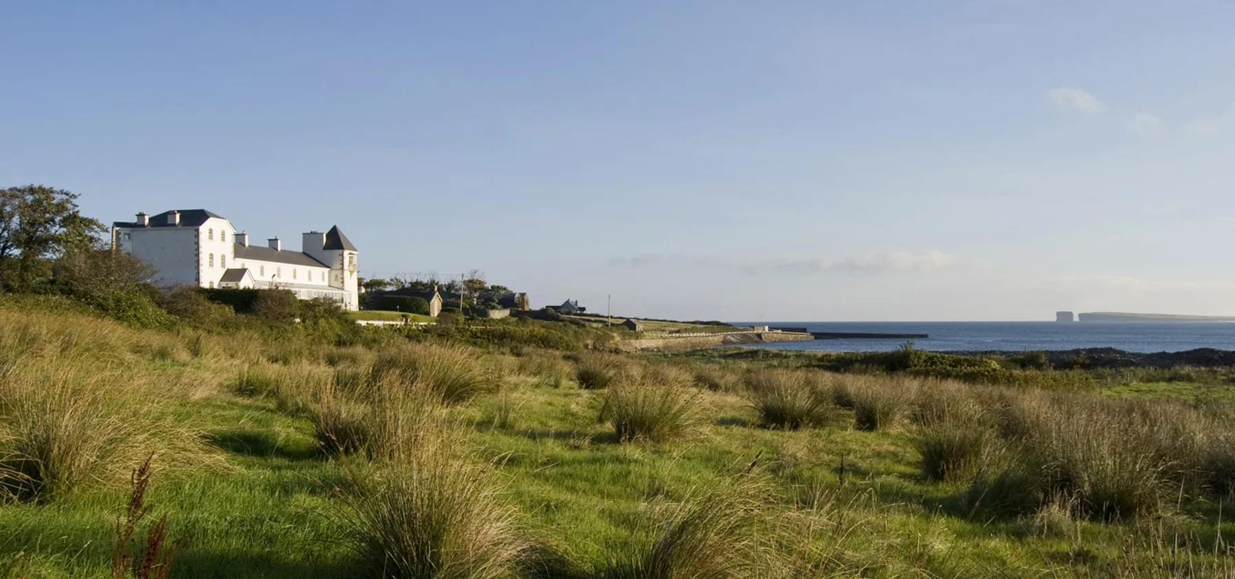 Representative hotel space: Coastal grassland with a white building beside the sea.