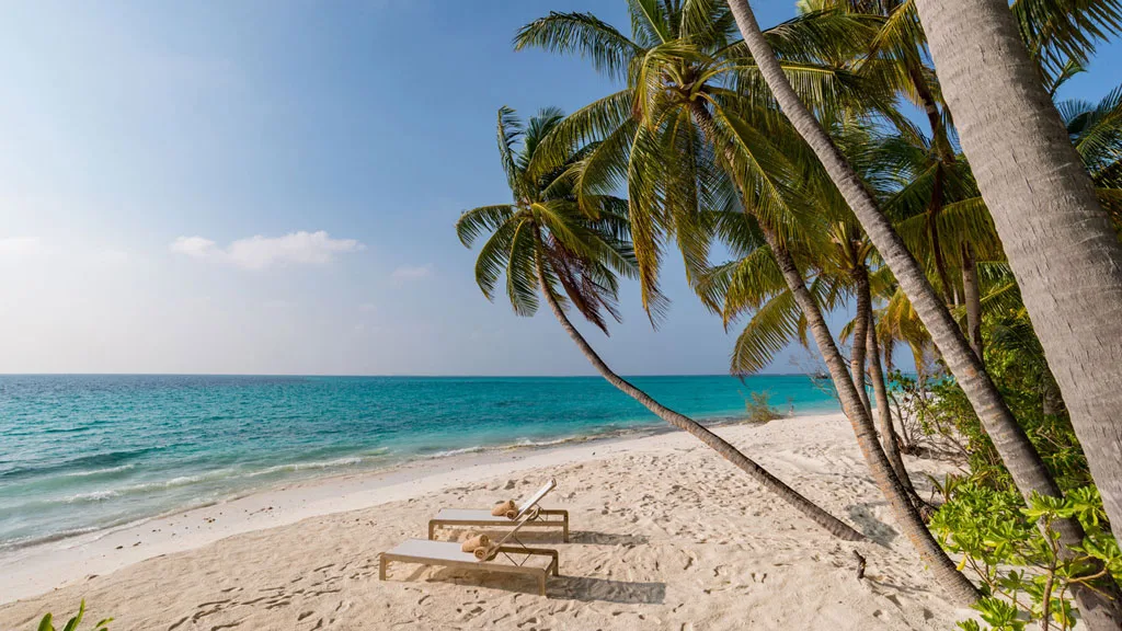 Representative hotel space: A sandy beach with turquoise water and palm trees along the shore.