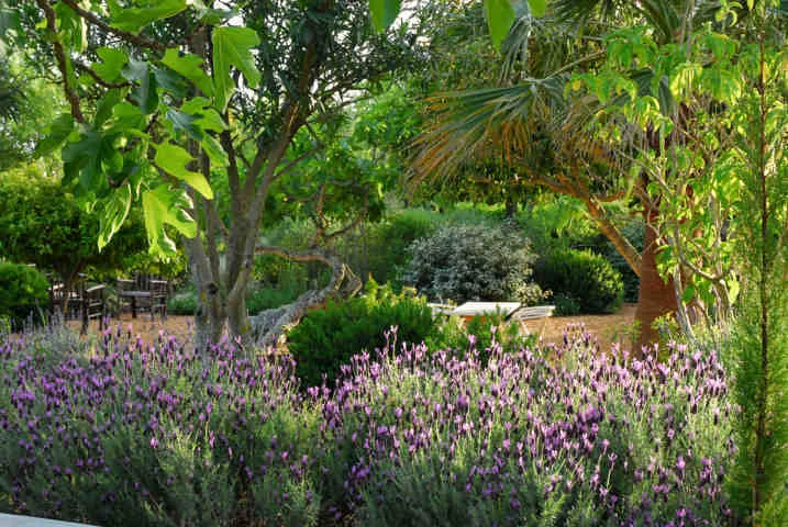 Representative hotel space: A lush garden with purple flowers, leafy trees, and outdoor seating.