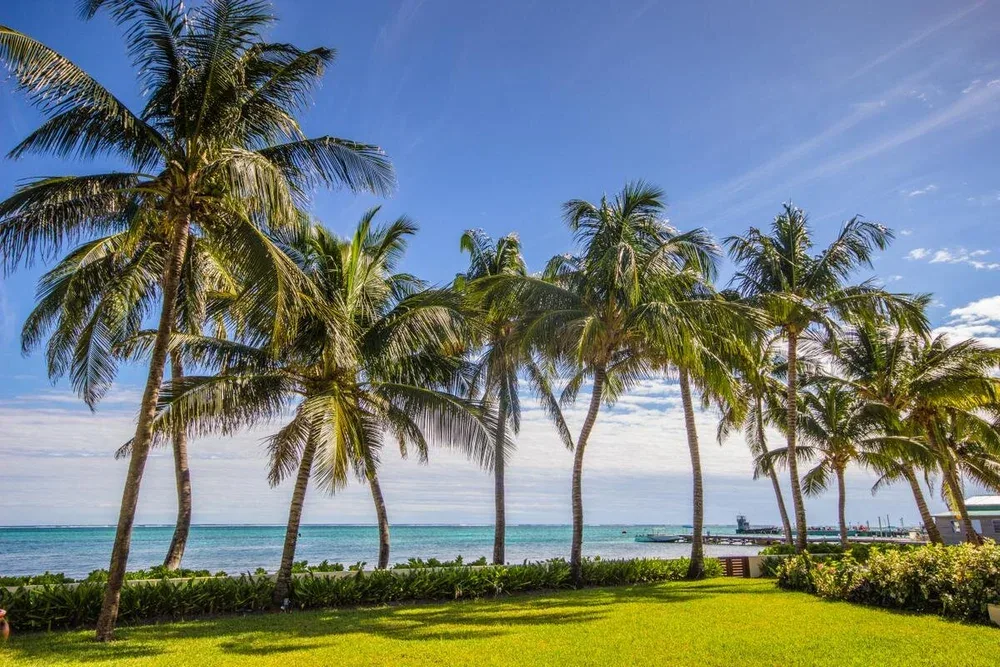 Espacio representativo del hotel: Una playa tropical con palmeras, césped verde y aguas tranquilas.