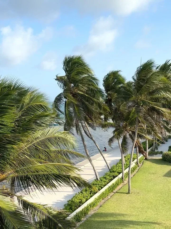 Espacio representativo del hotel: Una playa tropical bordeada de palmeras y un césped.