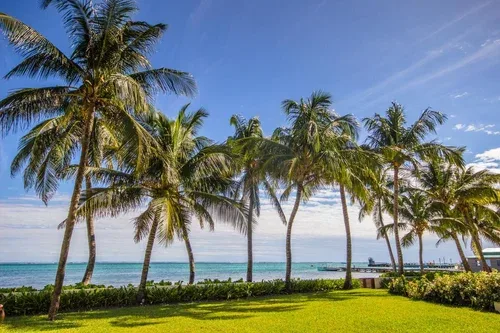 Espacio representativo del hotel: Una playa bordeada de palmeras da al océano, más allá de un césped.