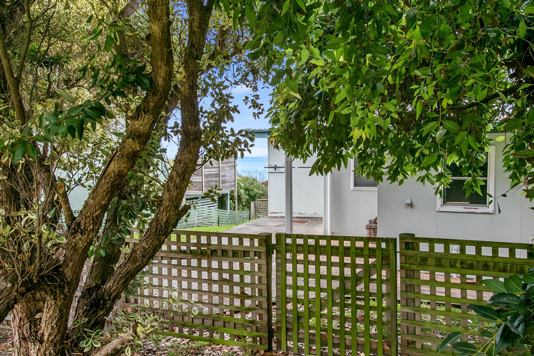 A leafy outdoor area beside a white building, viewed through a wooden fence.