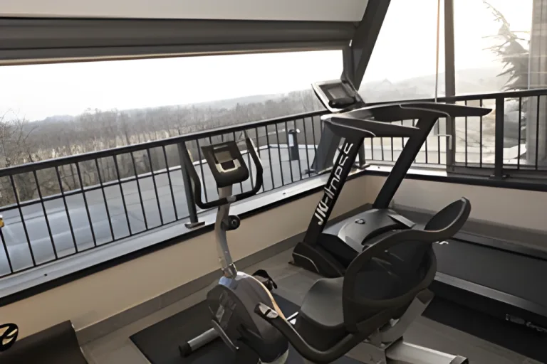 Espacio representativo del hotel: Una zona de gimnasio con bicicletas estáticas junto a ventanas con vista a los árboles.