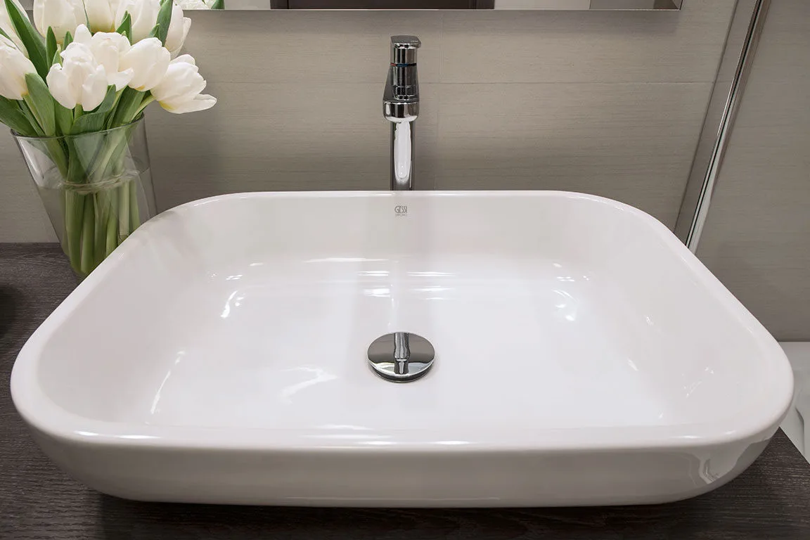 Espacio representativo del hotel: Un lavabo blanco con grifo cromado y flores cerca.