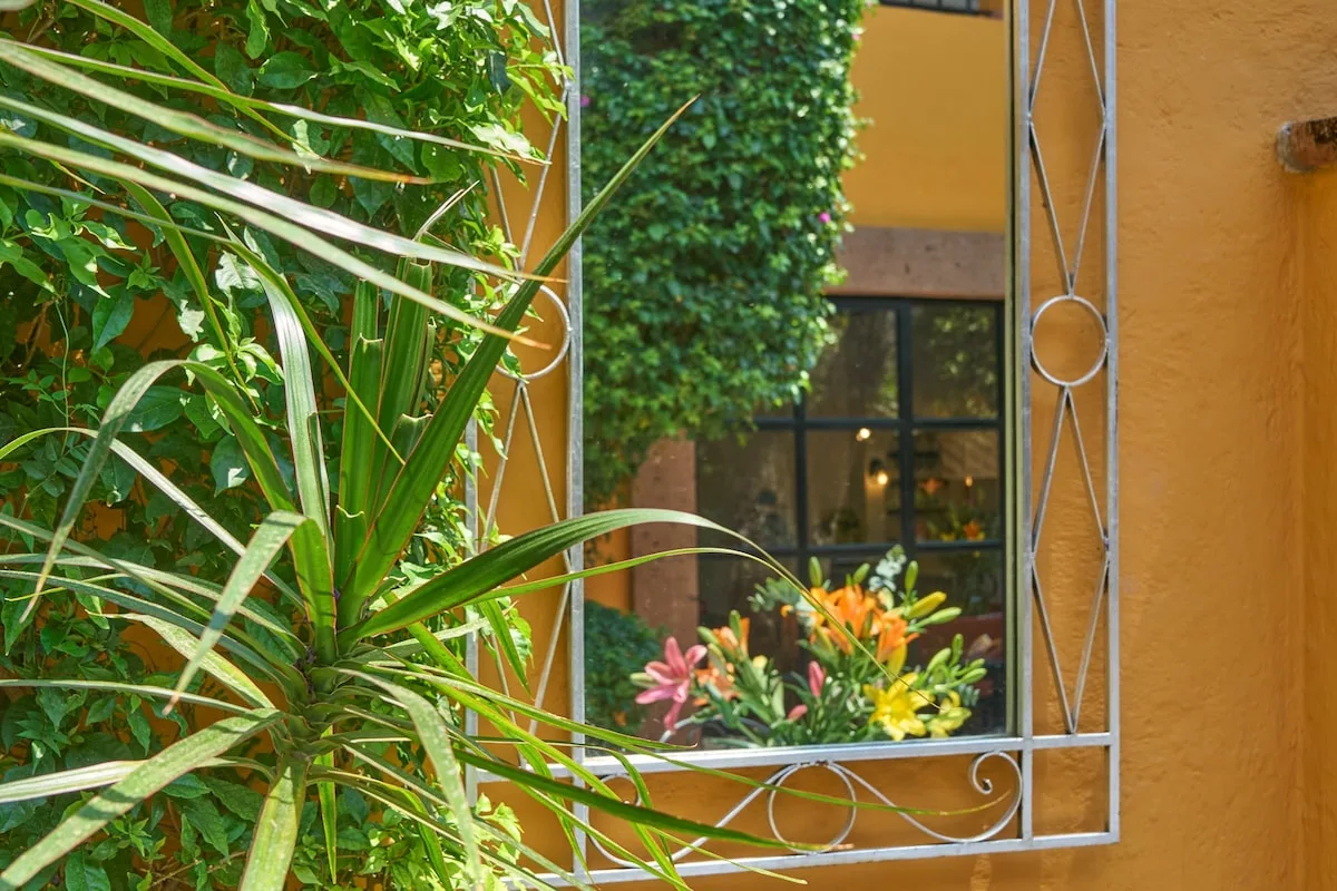 Una ventana llena de flores está enmarcada por plantas verdes y una reja decorativa.