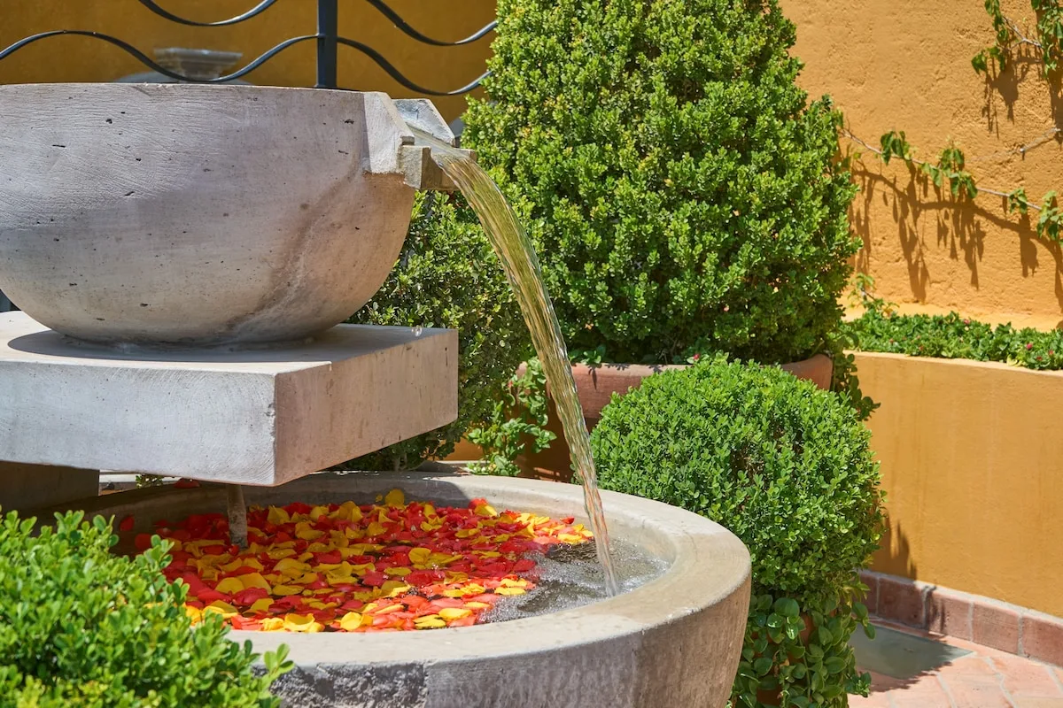 Una fuente de jardín vierte agua en una pila rodeada de vegetación.