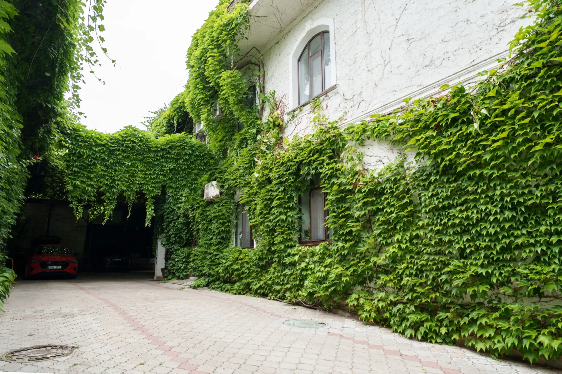 Representative hotel space: An ivy-covered building borders a paved courtyard with a shaded parking area.