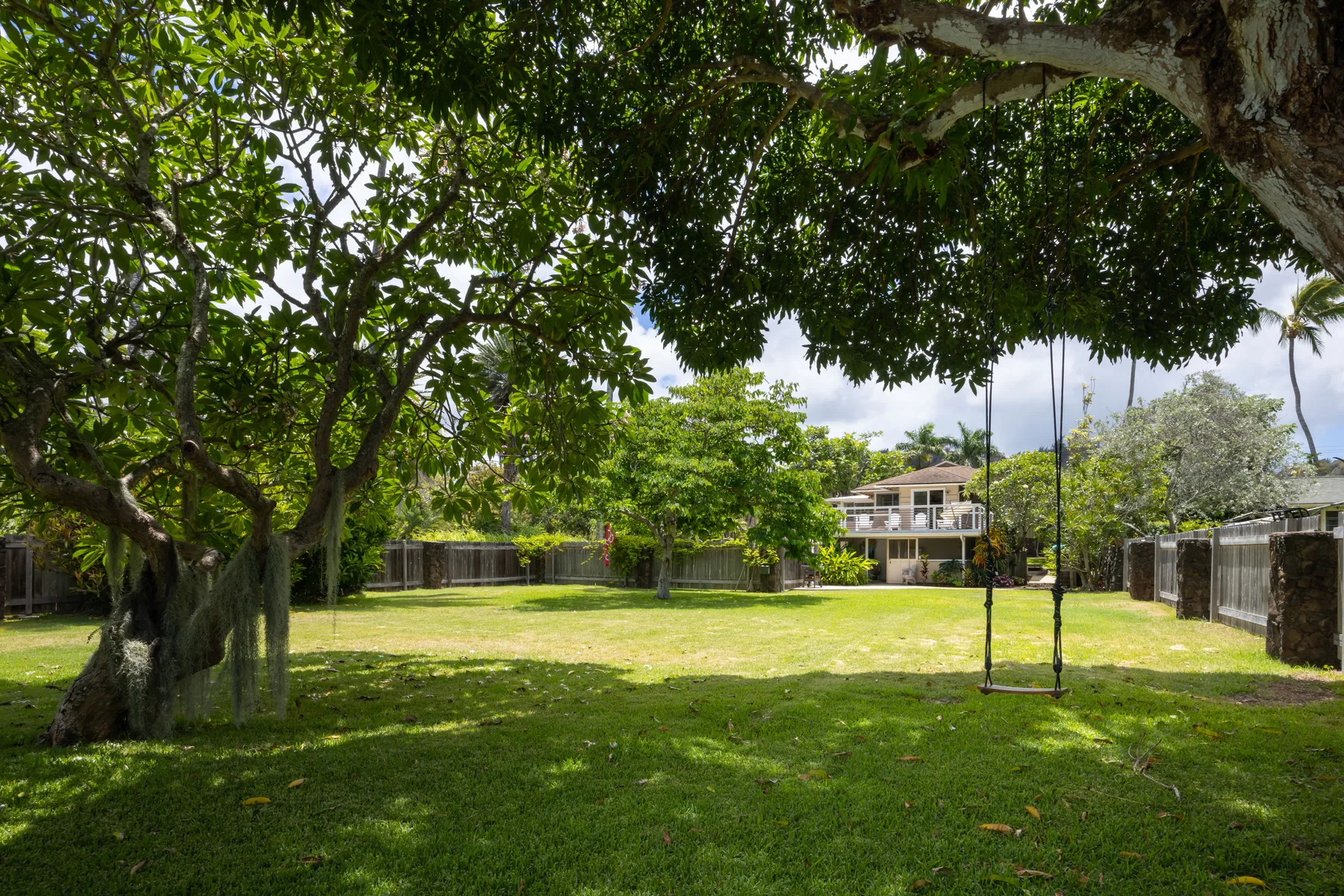 A leafy garden lawn with a swing hanging from a large tree.