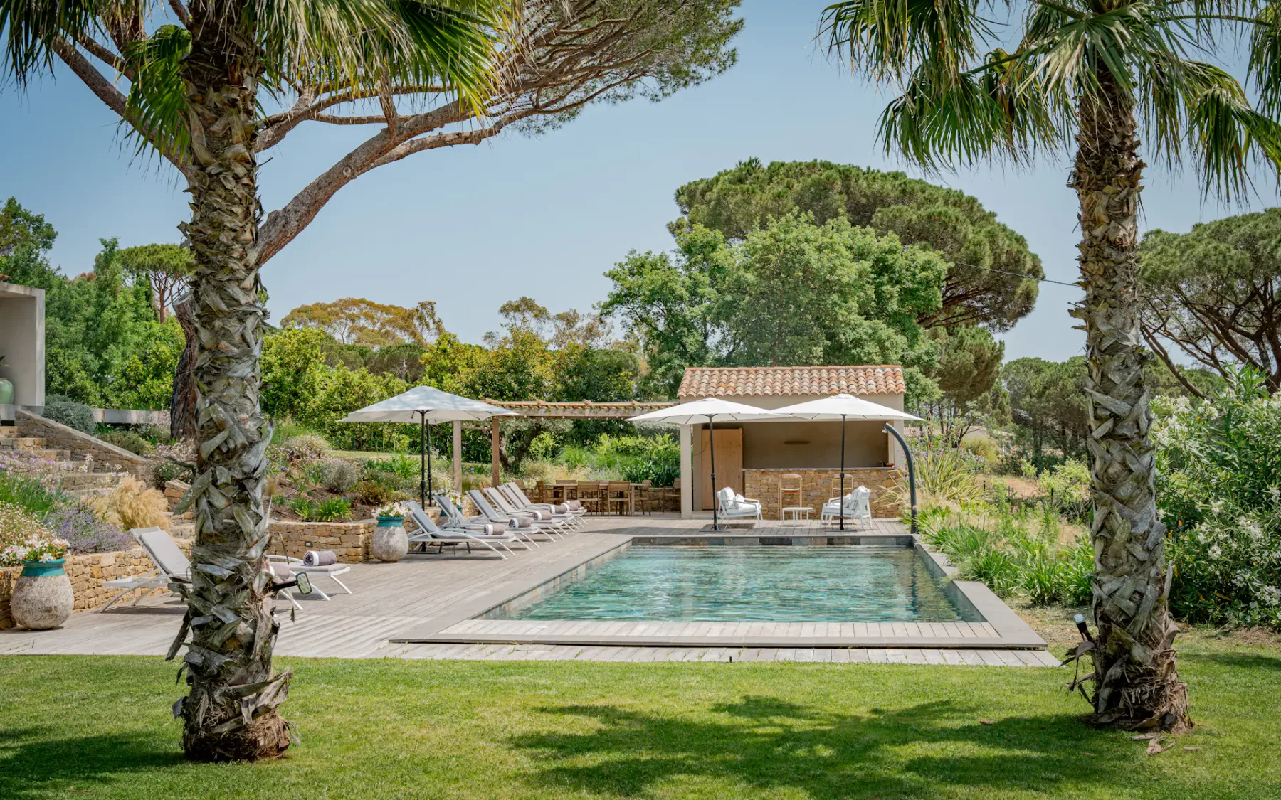 Una piscina al aire libre está junto a una terraza de madera, con tumbonas y palmeras.
