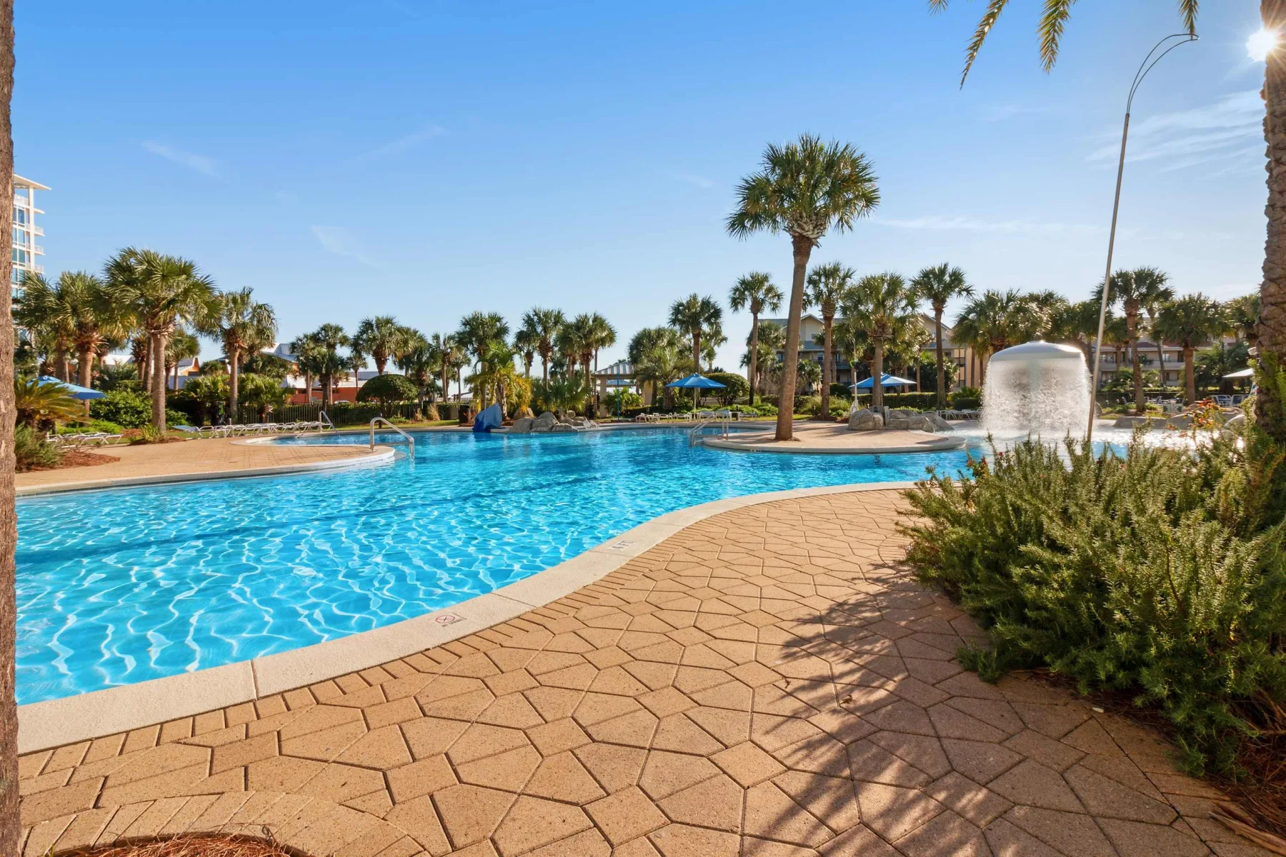 Zona común: Una piscina al aire libre con una terraza pavimentada y palmeras.