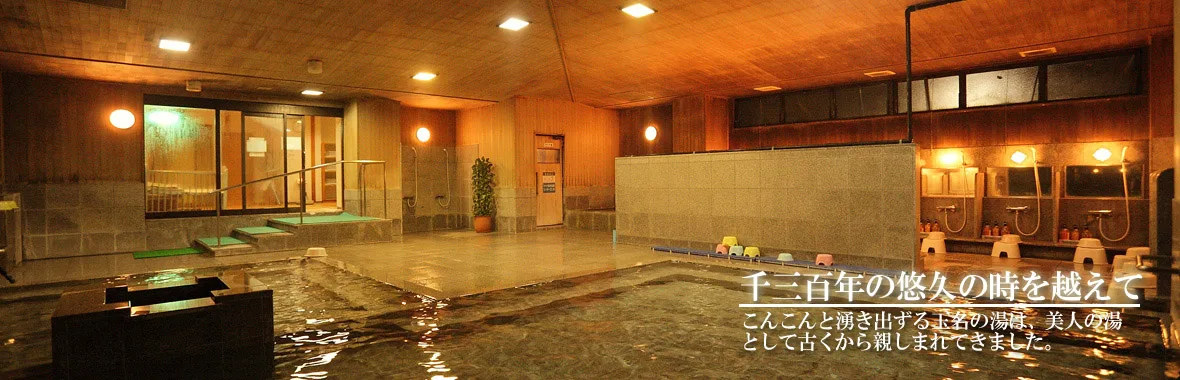 Espacio representativo del hotel: Una piscina cubierta con paneles de madera cálida y luces en el techo.