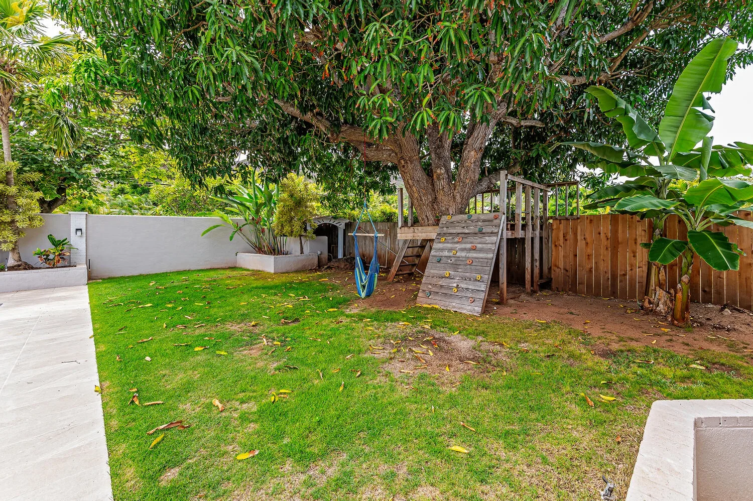 A leafy garden with a large tree, lawn, and wooden play structure.