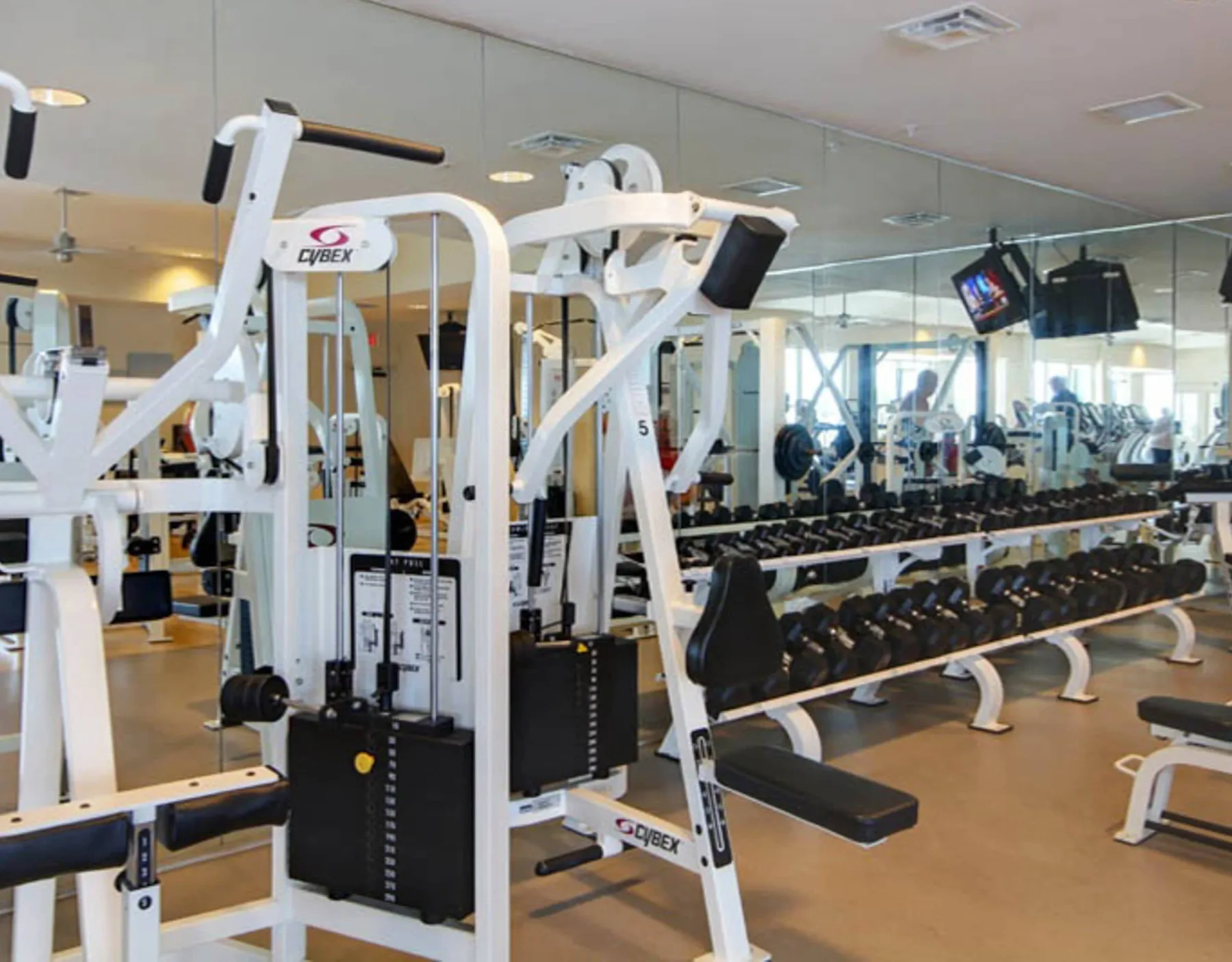 Zona común: Un gimnasio con máquinas de ejercicio y filas de mancuernas.