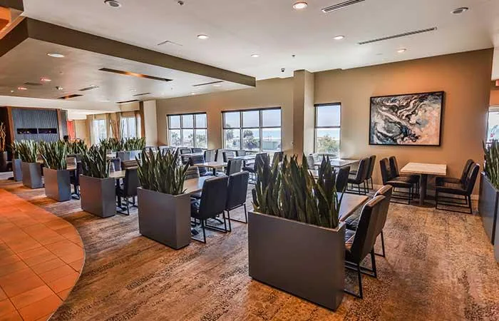 Espacio representativo del hotel: Un comedor con mesas, asientos y grandes jardineras.