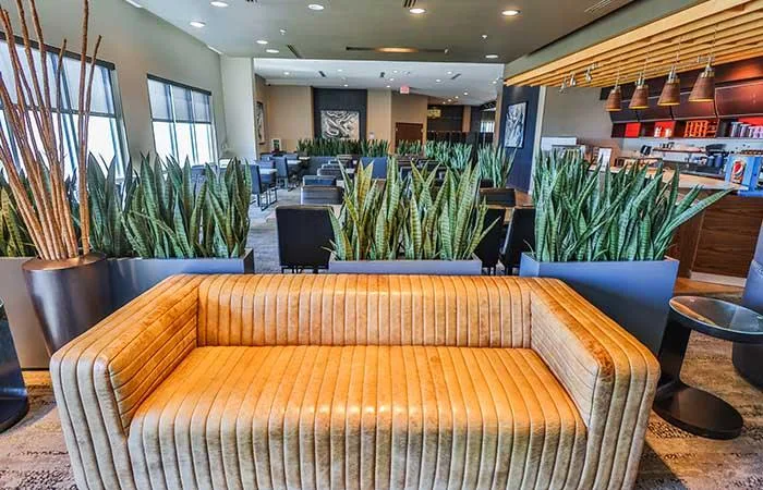 Espacio representativo del hotel: Salón de hotel con asientos, plantas altas y una barra al fondo.