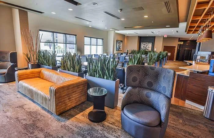 Espacio representativo del hotel: Salón de hotel con asientos, plantas altas y mostrador de recepción.