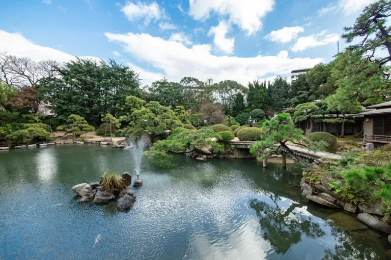 Espacio representativo del hotel: Estanque en un jardín paisajístico con una pequeña fuente y un puente de madera.
