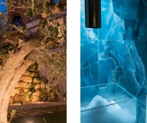 Espacio representativo del hotel: Un sendero exterior pasa junto a un muro de piedra y árboles.