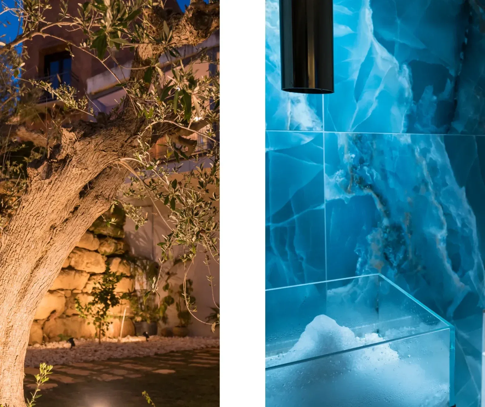 Espacio representativo del hotel: Un edificio de piedra aparece detrás de un árbol grande por la noche.