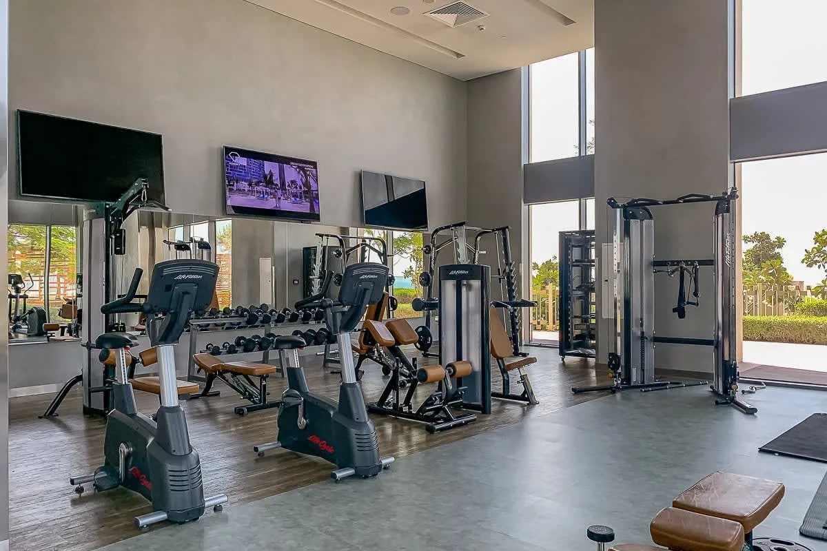Zona común: Se muestra un gimnasio con máquinas de ejercicio y pesas junto a ventanales altos.
