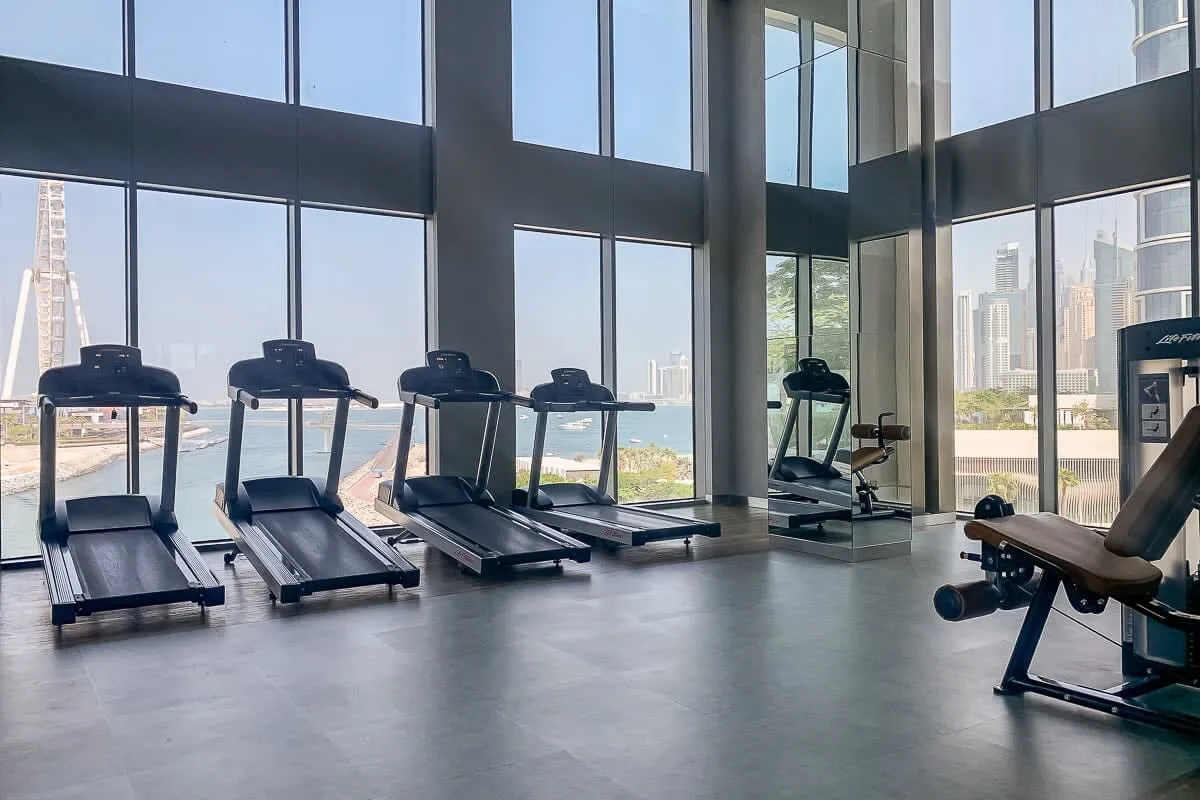 Zona común: Un gimnasio con cintas de correr y equipo de ejercicio junto a grandes ventanales.