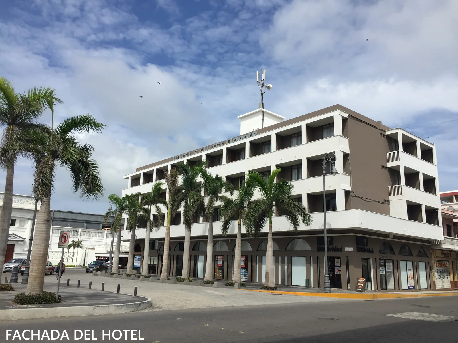 Representative hotel space: A multi-story hotel building with palm trees along the street.