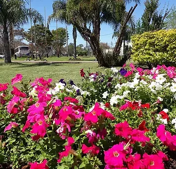 Representative hotel space: A garden with bright pink and white flowers beneath palm trees.