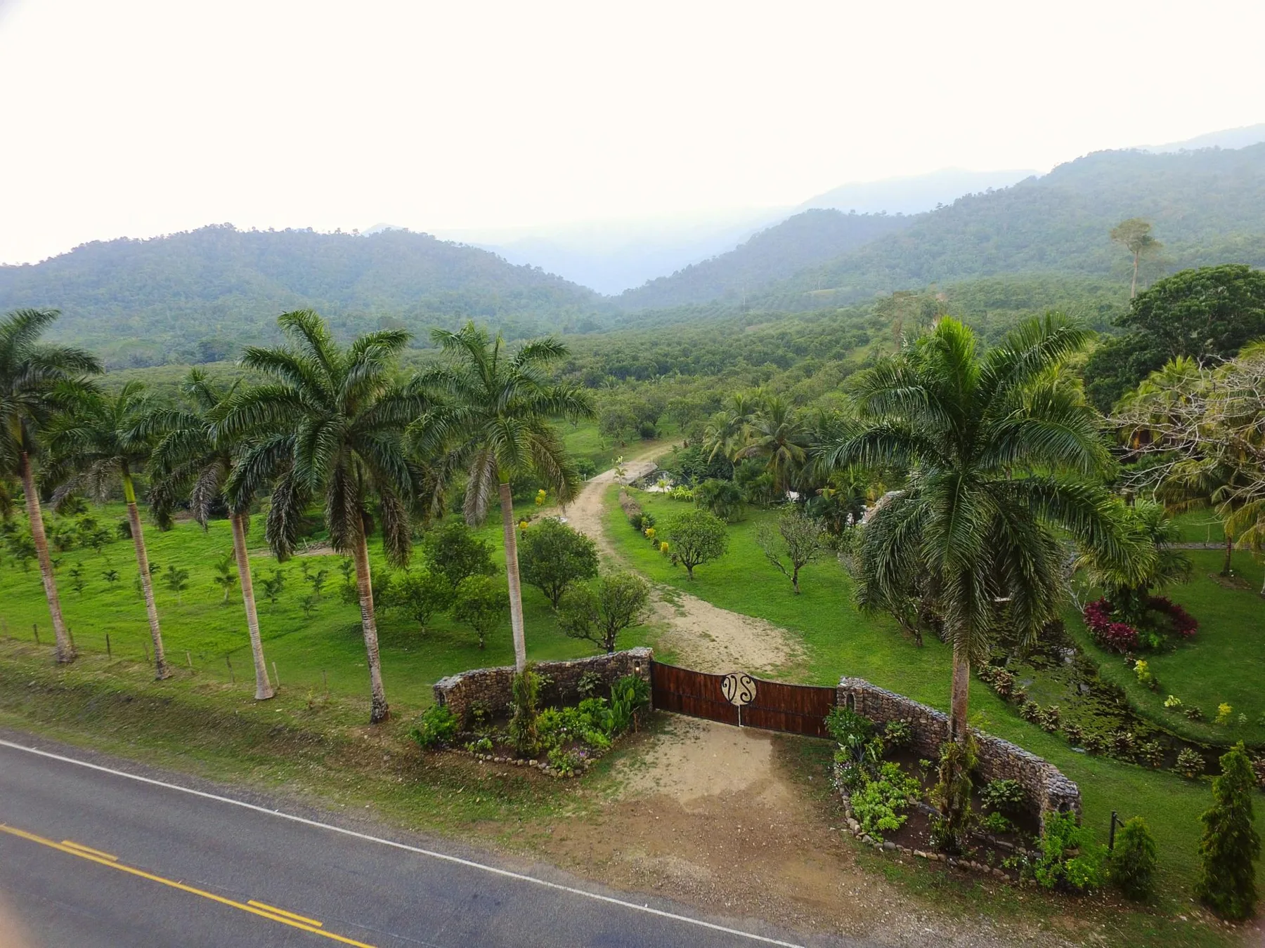 A palm-lined dirt driveway winds through green grounds toward forested hills.