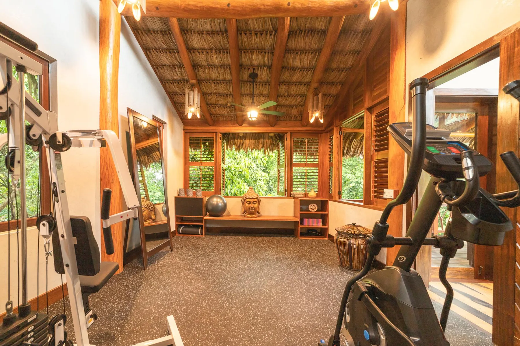 A gym with exercise equipment and a window overlooking greenery.