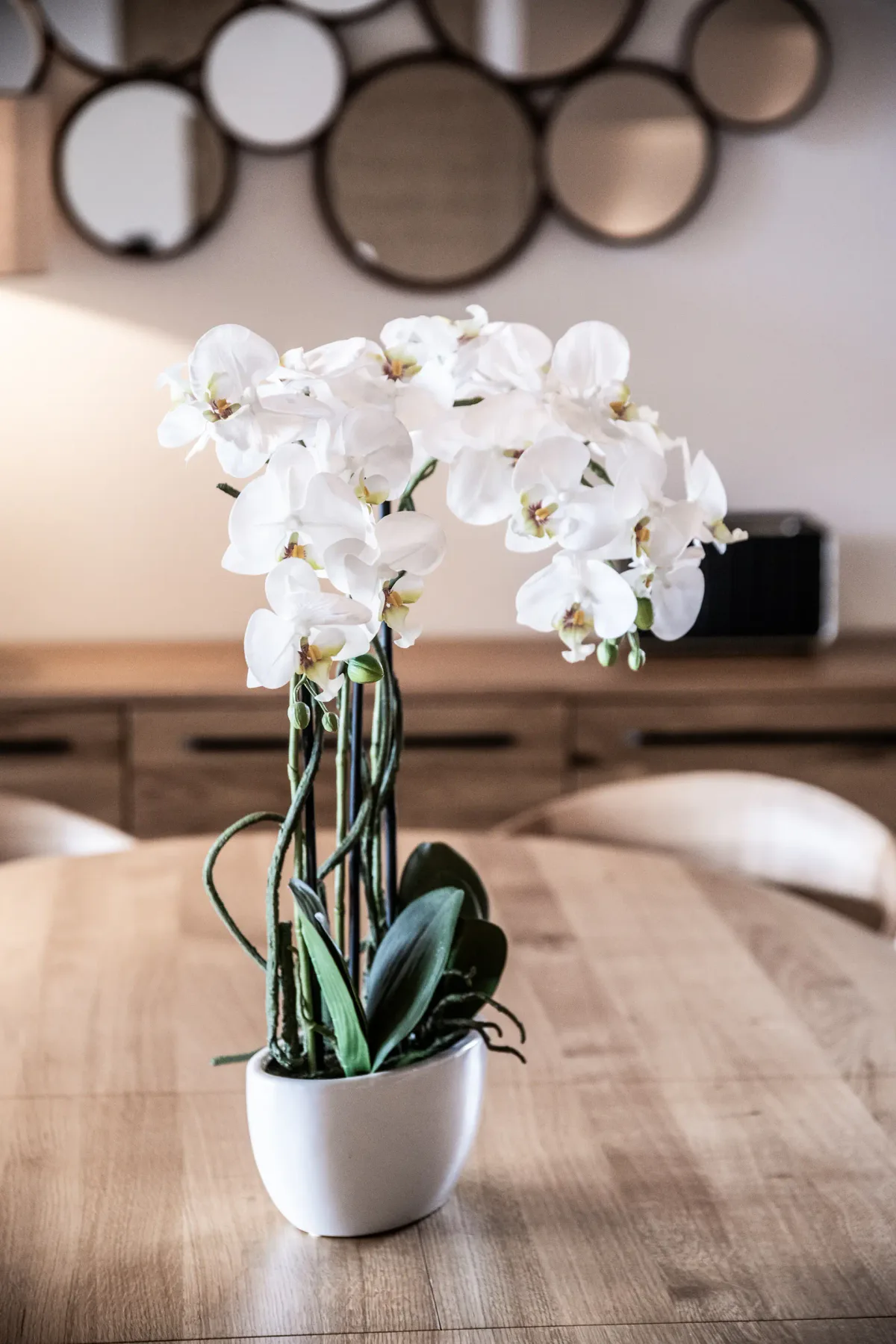Una mesa de comedor con un arreglo de orquídeas blancas en una maceta.