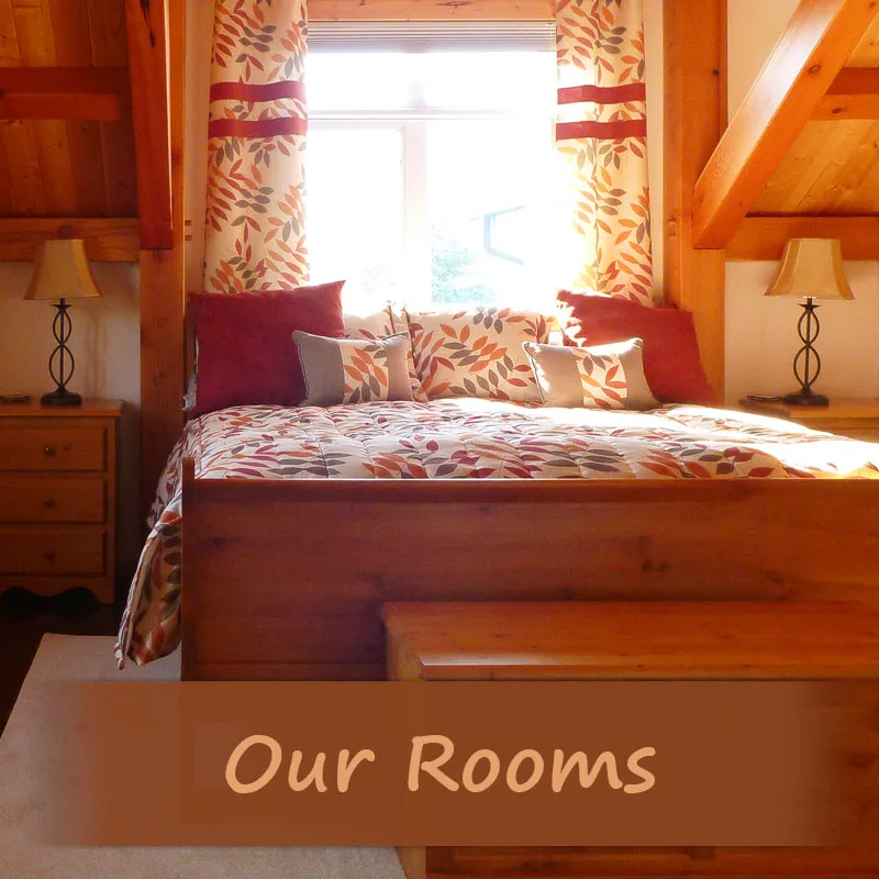 Espacio representativo del hotel: Dormitorio con una cama de madera bajo una ventana luminosa.