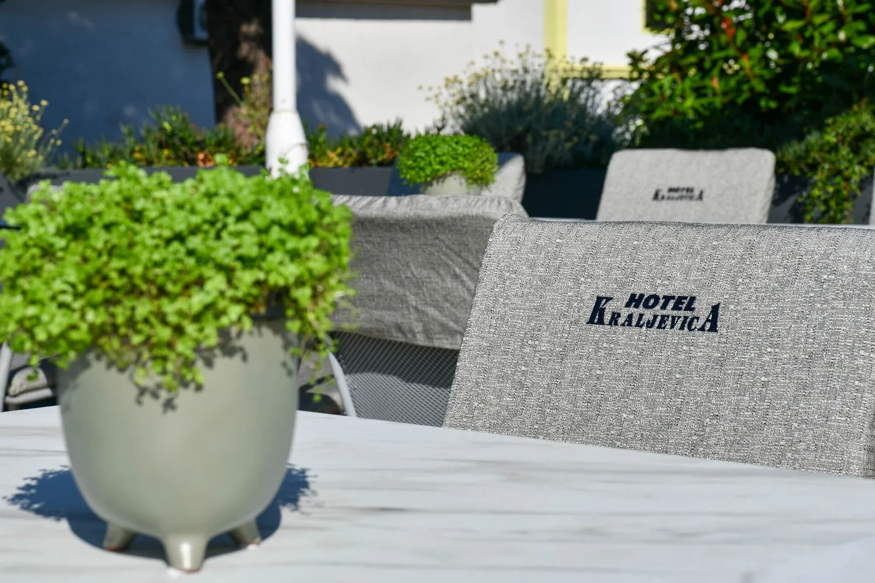 Representative hotel space: Outdoor seating area with gray chairs and a potted plant on the table.