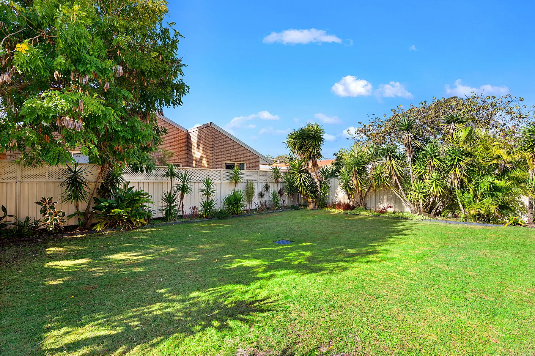 A green backyard lawn bordered by trees, shrubs, and a fence.