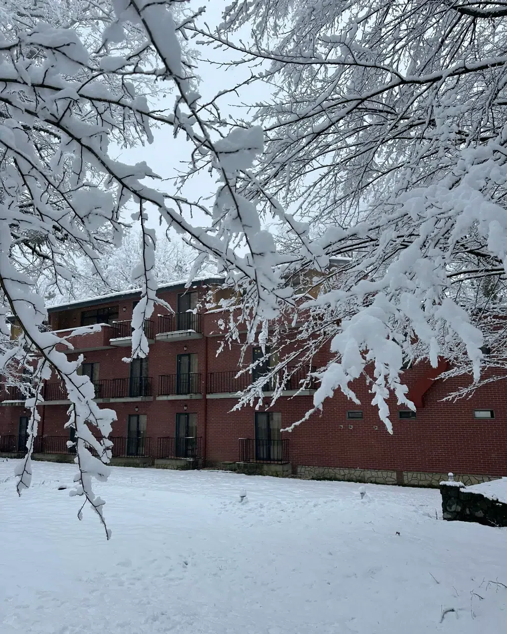 Espacio representativo del hotel: Un edificio de ladrillo se alza tras árboles cubiertos de nieve en un patio nevado.