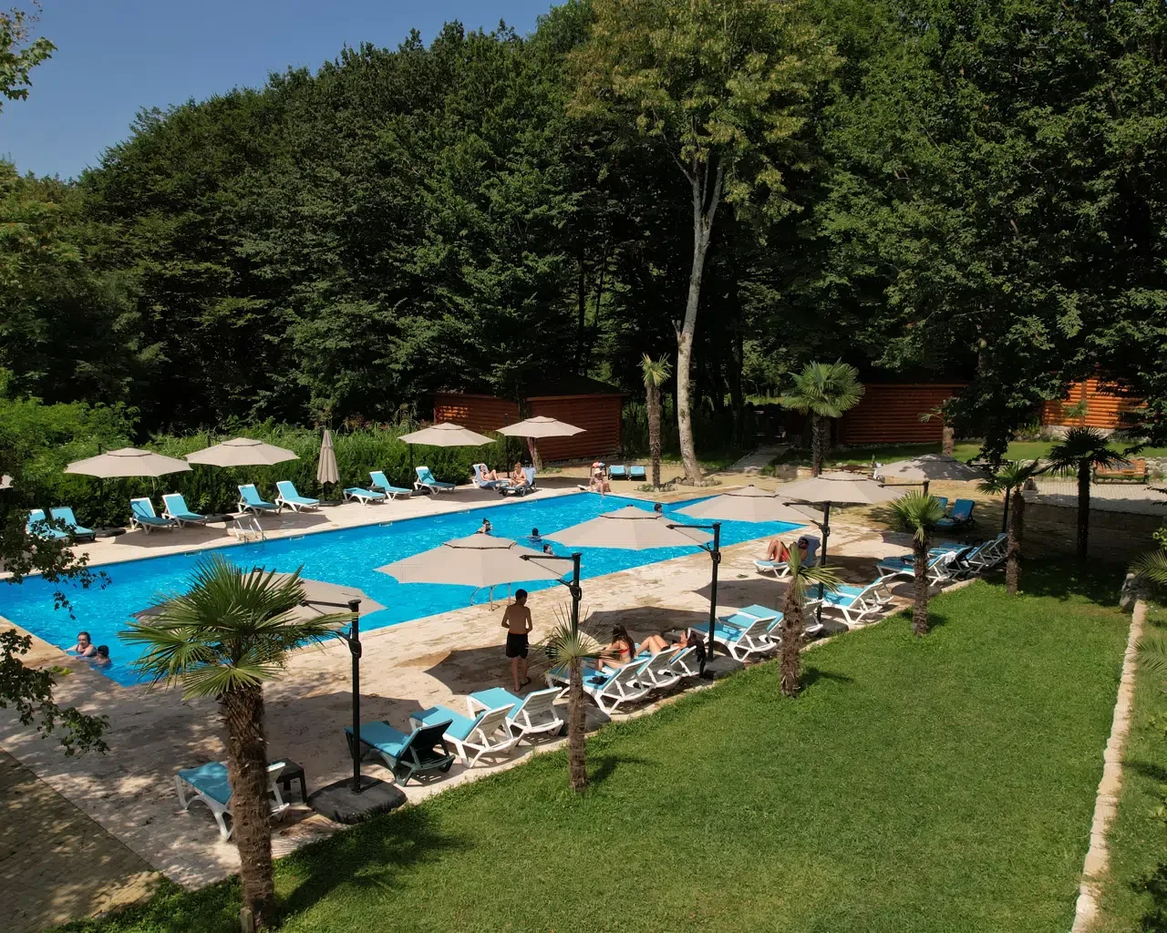 Espacio representativo del hotel: Una piscina al aire libre está rodeada de tumbonas, sombrillas y árboles.