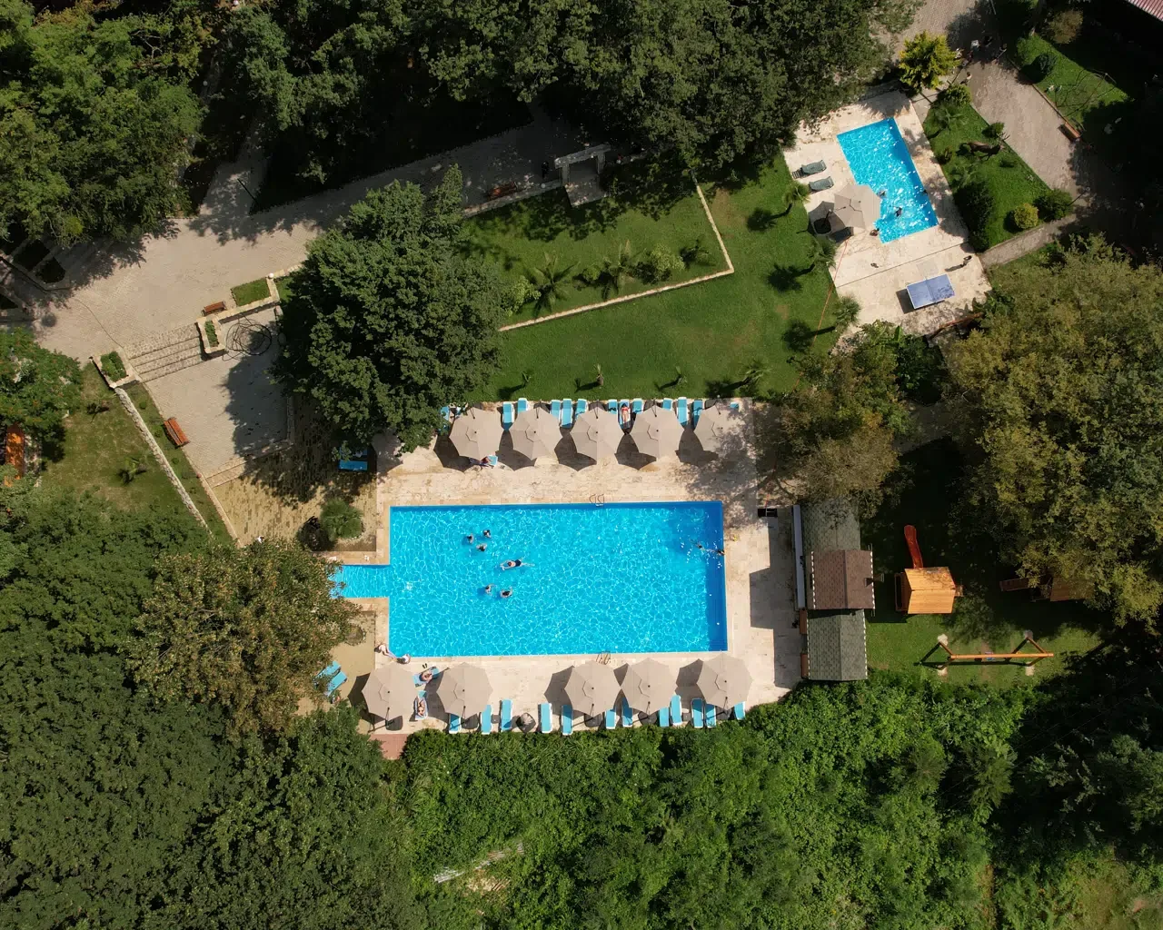 Espacio representativo del hotel: Una vista aérea muestra una piscina rodeada de vegetación y asientos.