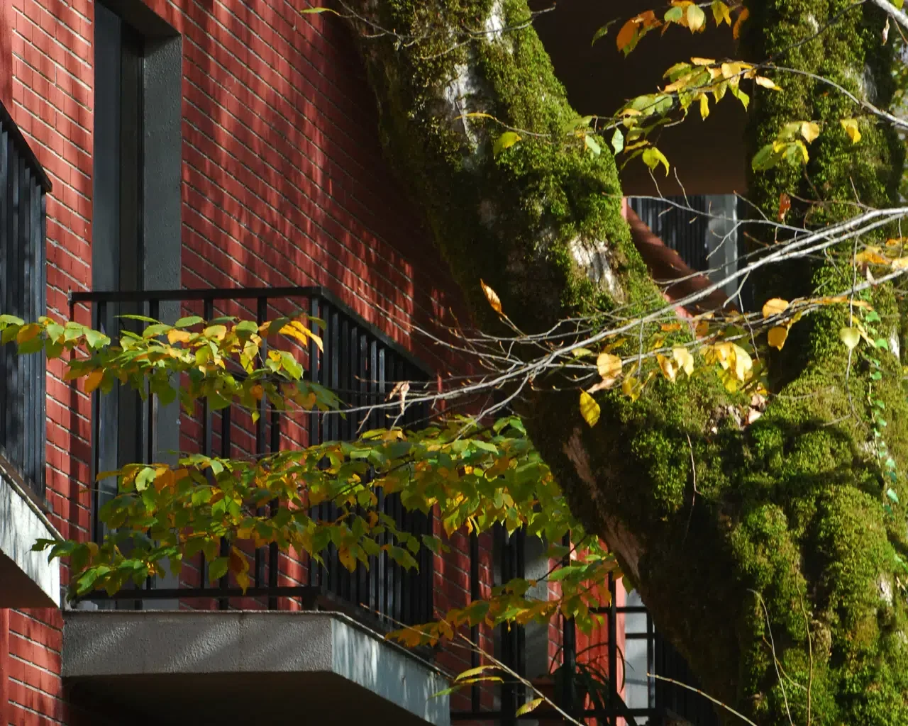 Espacio representativo del hotel: Un edificio de ladrillo rojo con balcones está parcialmente oculto por un árbol grande.