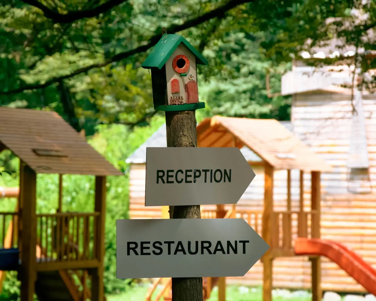 Espacio representativo del hotel: Señales en un entorno arbolado indican recepción y restaurante junto a estructuras de madera.