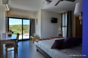 Representative hotel space: A hotel room has a bed, a small seating area, and windows overlooking greenery.